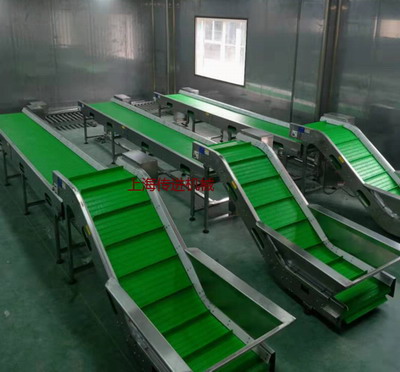 网带输送机，山核桃爬坡网带提升机